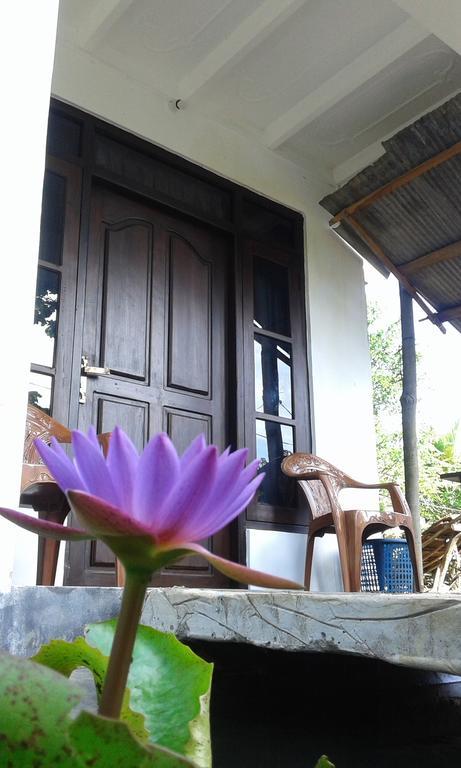 Sigiriya River Side Resort Экстерьер фото