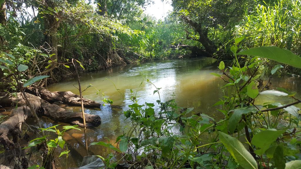 Sigiriya River Side Resort Экстерьер фото
