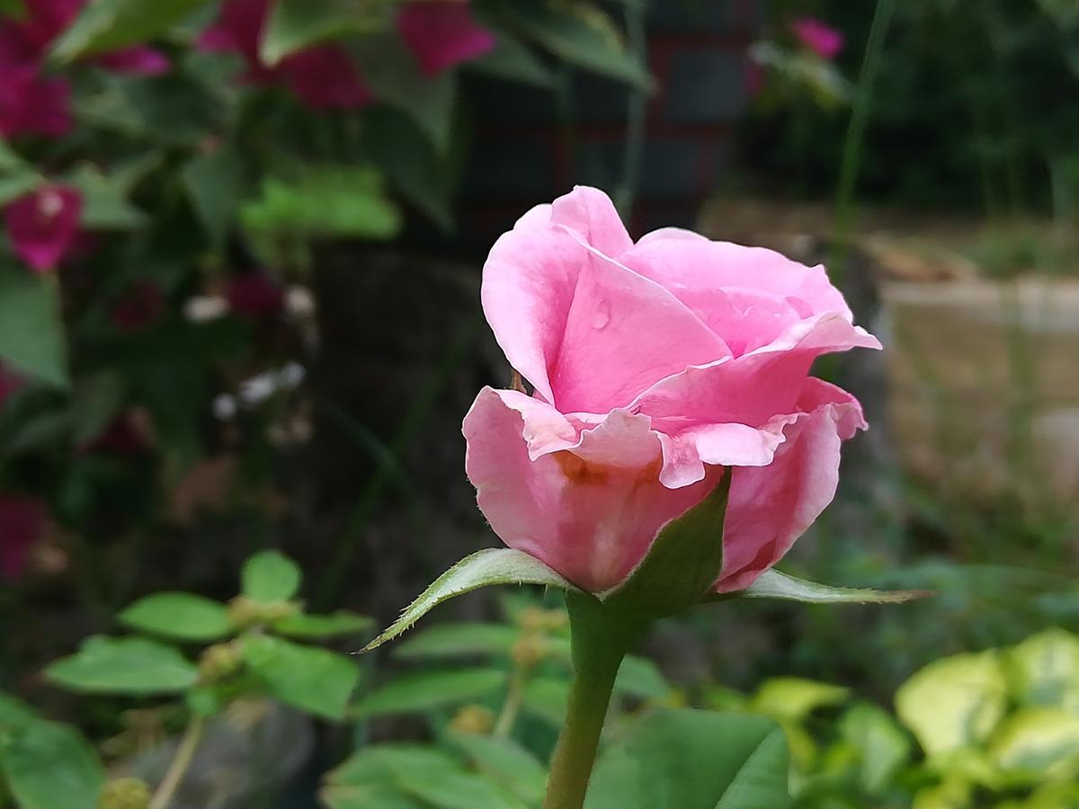 Sigiriya River Side Resort Экстерьер фото