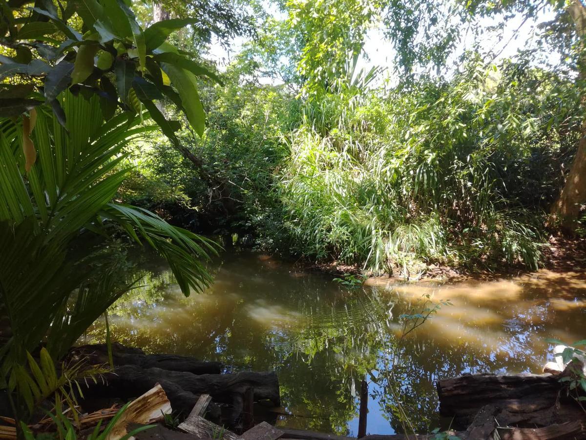 Sigiriya River Side Resort Экстерьер фото